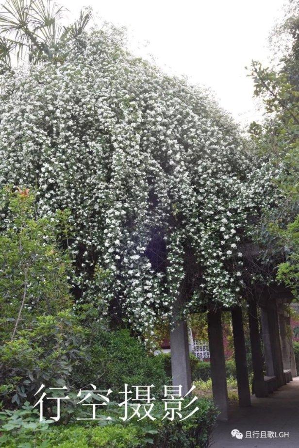 逃离无人城堡