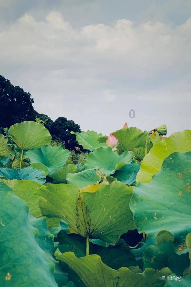 明日之后